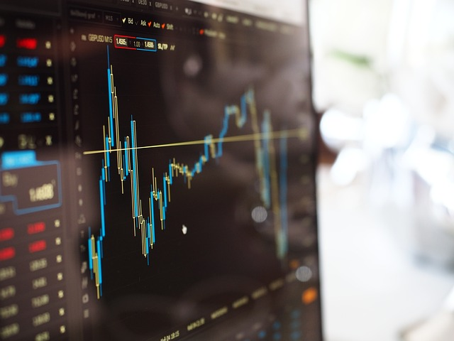 investment options, individual stocks