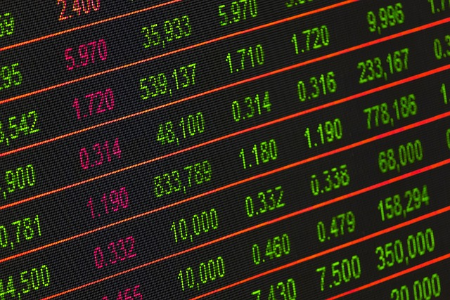 investment options, individual stocks