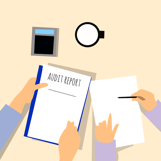 audit, financial advisor, securities and exchange commission